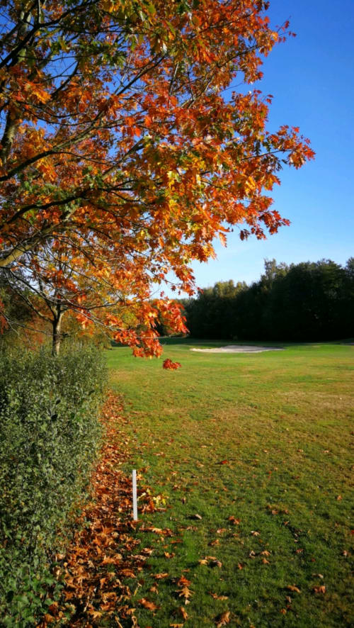 Hotel - AU REPOS DE LA LICORNE - GOMMEGNIES - Croissants - Dessert - bed and breakfast - table d'hotes - dinner and spa - sauna gym near the golf course of Mormal between Valenciennes, Maubeuge and Mons