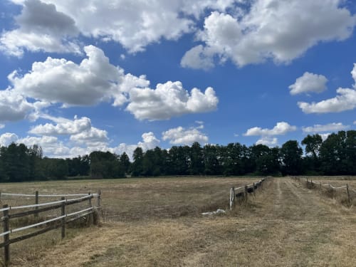 Domaine de Bafave - activités équestres à Périssac, près de Blaye - séjour familial dans le Sud de la France