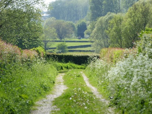 Avesnois ballade bocage Haut de FRance