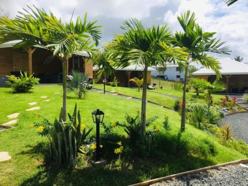 Plantes tropicales du jardin des Cottages du lagon