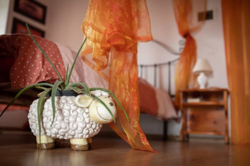 Vaso decorativo a forma di pecora con pianta ragno nell'appartamento Il Podere Prato, Predappio Alta