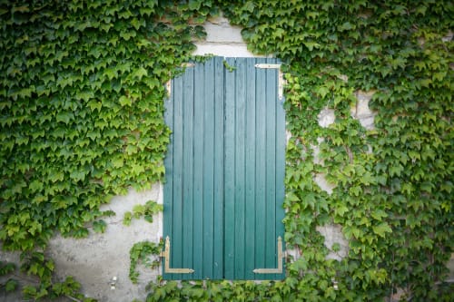 Muro in pietra ricoperto di edera con porta di legno verde a Il Podere Prato, Predappio Alta