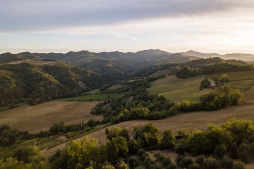 Dolci colline e vigneti presso Il Podere Prato ad Predappio Alta, Toscana, al tramonto