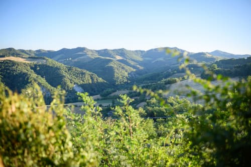 Verdi colline e valli lussureggianti circondano Il Podere Prato a Predappio Alta, Emilia-Romagna, Italia