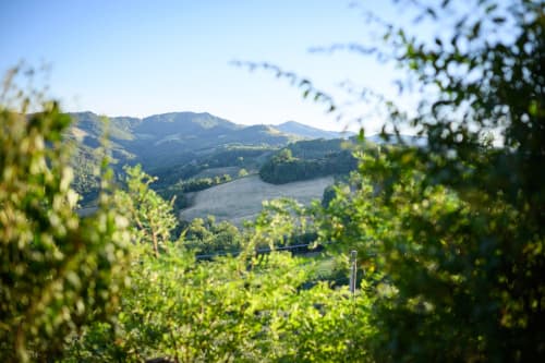 Dolci colline toscane con vigneti che incorniciano Il Podere Prato a Predappio Alta, Italia