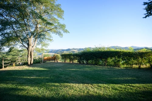 Panchina in legno all'ombra di un albero con colline ondulate a Il Podere Prato, Predappio Alta, Italia