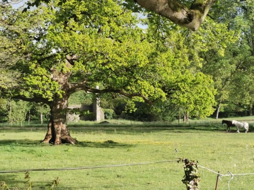 Domaine de Roz Maria -  Maison de charme pour la semaine, afterwork, associations, séjour d'entreprise, Bretagne