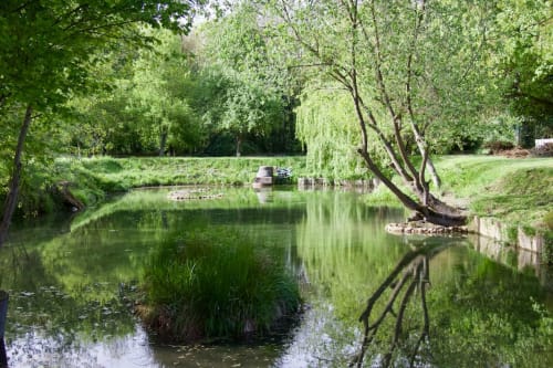 Domaine de Bafave - gîte avec accès au lac, nombreuses activités, région de Bordeaux