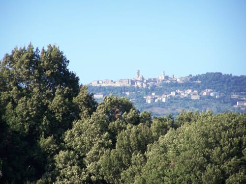 Il borgo medievale di Pomarance dominante la collina tra boschi verdi della Toscana, Italia