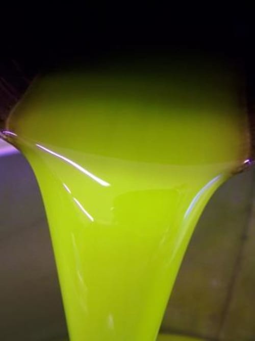 Luminoso fiore di calla giallo presso l'agriturismo Agri-Bio Santa Palmira a Pomarance, Toscana