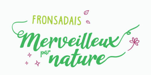 Domaine de Bafave - Fronsadais, Saint Emilion, Blaye