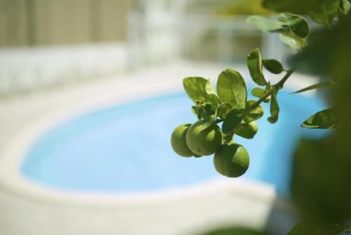 Piscine privée