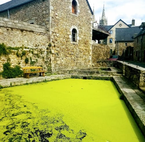 la porte du léon - finistère - gîtes, vacances, location, rue au lin, saint pol de léon,