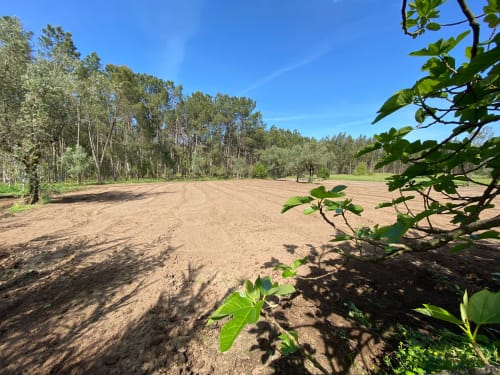 Propriété rurale avec champs labourés et pins à Leiria, Portugal - Expériences de Découverte Charme