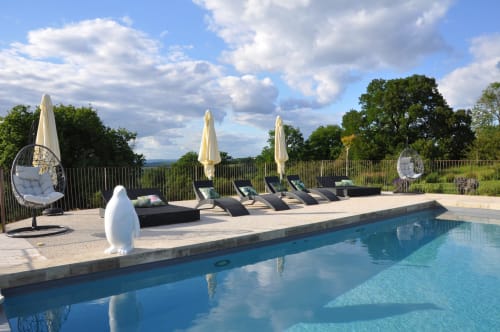Gîte avec piscine Château de Cantecor Rocamadour 