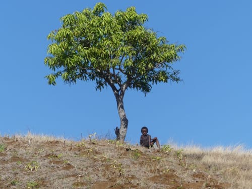 Excursion dans la campagne de Nosy Be, Madagascar