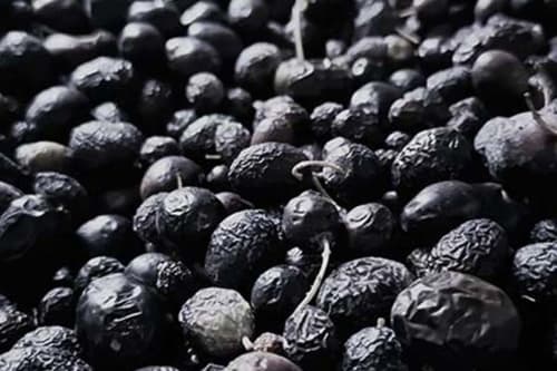 Dark berries with stems at Le Pavillon M, a bed & breakfast in Grignan, France