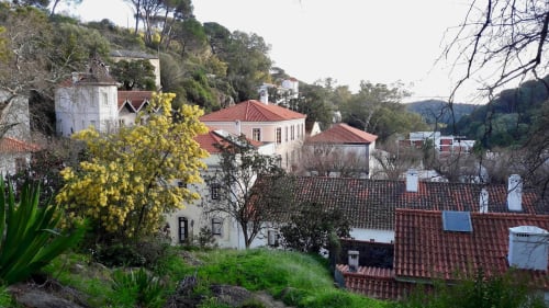 Armação Beach Residences B&B in Armação de Pêra, Portugal with red-tiled roofs, white buildings, and yellow flowers on