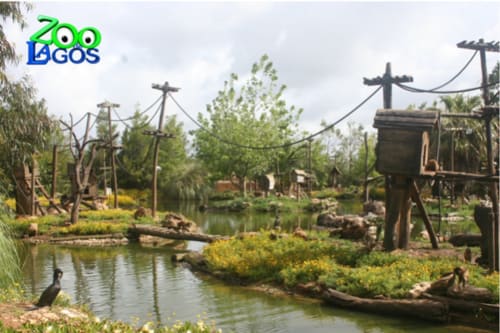 Zoo Lagos theme park with scenic wetland area, wooden structures, and water features in Armação de Pêra