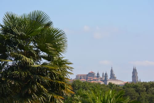 Palmera con la catedral de Santiago de Compostela al fondo, vista desde el hotel Cabañas Compostela