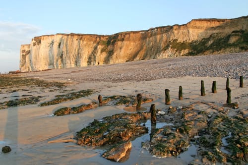 Les falaises de la Côte d'Albâtre, à quelques minutes du Gîte Gabrielle, idéales pour des promenades en pleine nature.