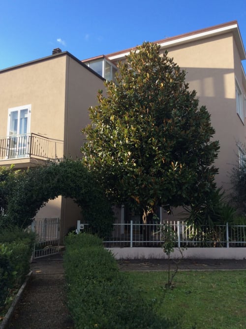 Casa Marzi in Pesaro, flat for 4 by the sea - near B&B Albornoz in Urbino, Marche.