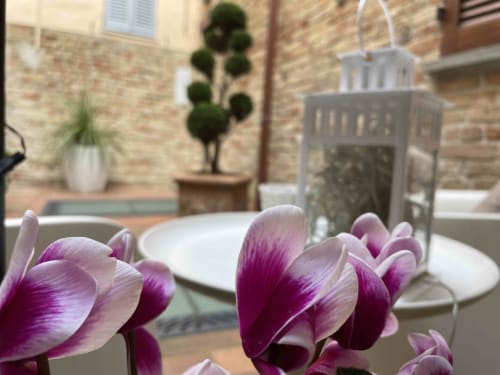 Esterno struttura B&B Albornoz a Urbino in estate, presenti 3 monolocali - vicino Casa Marzi a Pesaro, Marche.