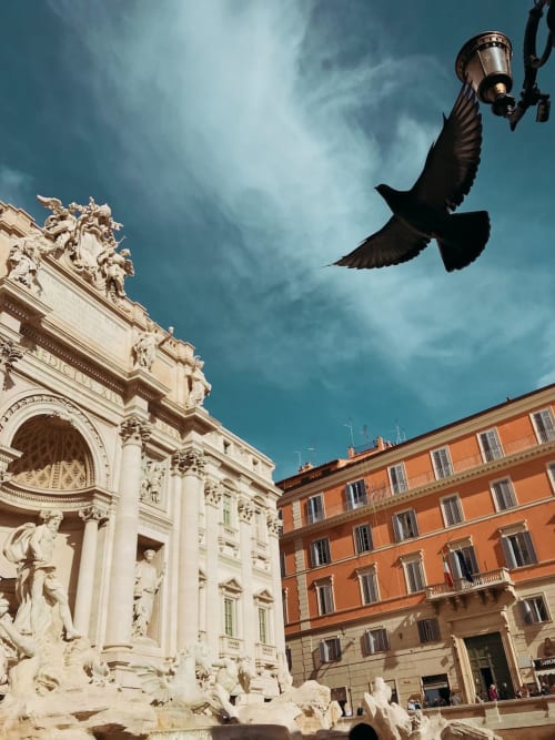 Fontana di Trevi a Roma con architettura barocca e uccello in volo sotto cielo turchese, vicino alla Guest House AD Trastevere