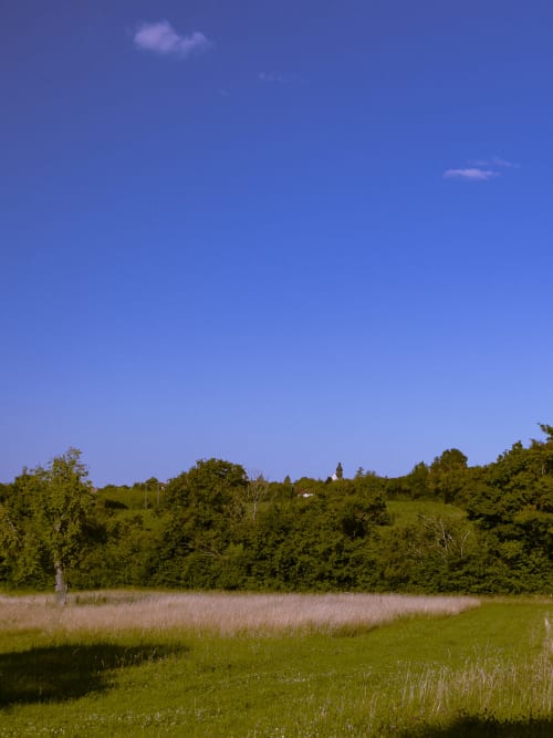 Scenic pastoral landscape at La Guirtelle B&B in Lainsecq, France with green fields and treeline