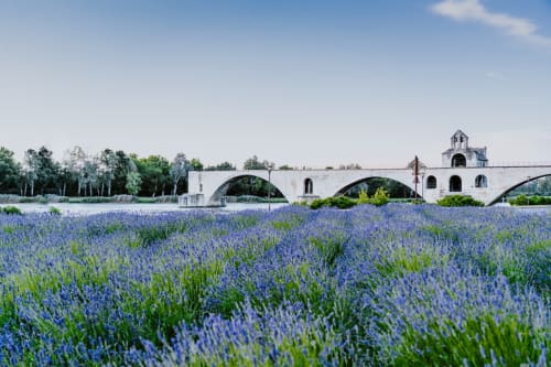 Maison Jalon - Aix en Provence - maison avec piscine privée - Avignon - sud de la france vacances