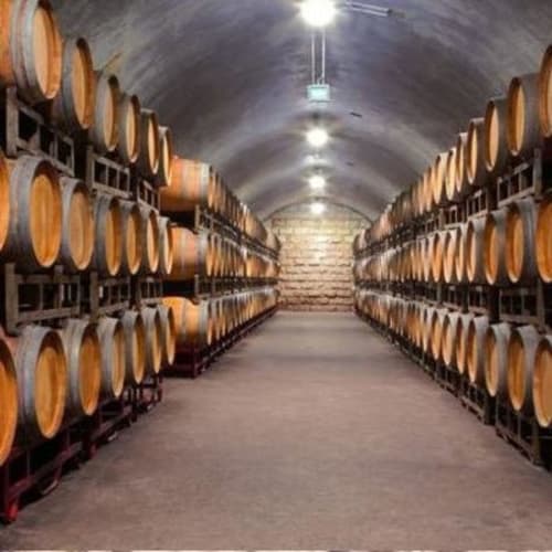 20 minutes walk. The wine caves in Porto, also known as the Port wine cellars, are a network of underground tunnels and storage rooms located in Vila Nova de Gaia, across the Douro River from Porto. These caves have been used for the aging and storage of Port wine since the 18th century. The wine is aged in oak barrels for several years, and the caves are carefully regulated for temperature and humidity to ensure the best possible aging conditions for the wine.

The wine caves in Porto are a popular tourist attraction, with many of the major Port wine houses offering tours of their caves and tastings of their wines. The most famous of these is the Sandeman Port Wine Lodge, which offers tours of its historic caves and tastings of its premium wines. Other notable wine caves in Porto include the Taylor's Port Wine Lodge, the Croft Port Wine Lodge, and the Ferreira Port Wine Lodge.

Visiting the wine caves in Porto is a must-do for any wine lover, as it offers a unique opportunity to learn about the history and production of Port wine and to sample some of the finest examples of this iconic wine.
