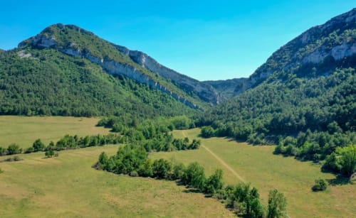 Valle frondoso con prados verdes y montañas boscosas cerca de Casa Lafuente en Lukiano, Araba, España