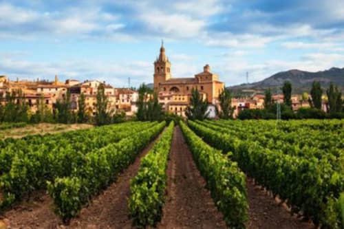 Filas de viñedos frente a un pintoresco pueblo de piedra amarilla con campanario, en la región vinícola de Laguardia, Araba, España