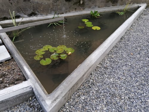 Il Giardino di Elettra - Monolocale 3 posti letto. Parcheggio gratuito. Genova.