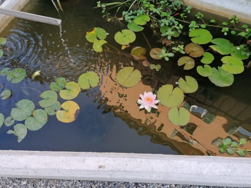 Il Giardino di Elettra - Bilocale Comfort. Parcheggio gratuito. Genova.