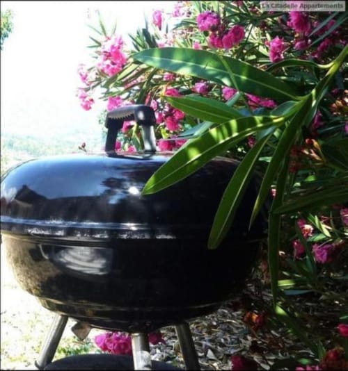 Citadelle Appartements Saint Florent - belle location appartements entiers, Corse, jardin et barbecue vue mer