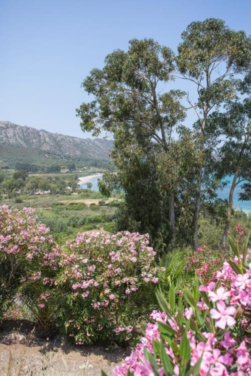 Citadelle Appartements Saint Florent - belle location appartements entiers, Corse, jardin vue mer