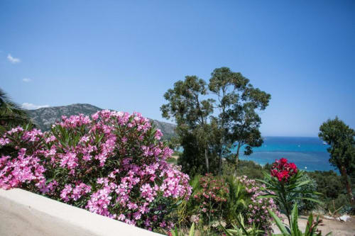 Citadelle Appartements Saint Florent - belle location appartements entiers, Corse, jardin vue mer