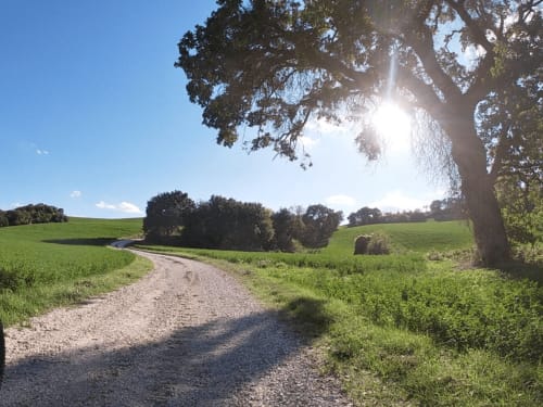 Ausflüge der Eigentümer von B&B Albornoz und Casa Marzi nach Urbino und Pesaro in den Marken.