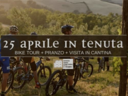 Tours à vélo à Urbino, événements autour du B&B Albornoz.