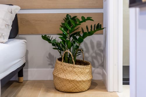 Pianta ZZ in vaso su cesto intrecciato accanto al letto presso Casa Lounge Istria, Cagliari