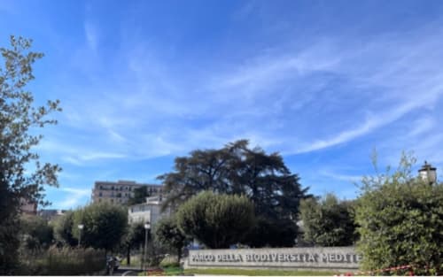 Dintorni 4B (B&B Villa Bella, B&B I Portici, B&B Stadio, B&B Lido Azzurro) a Catanzaro, Calabria.