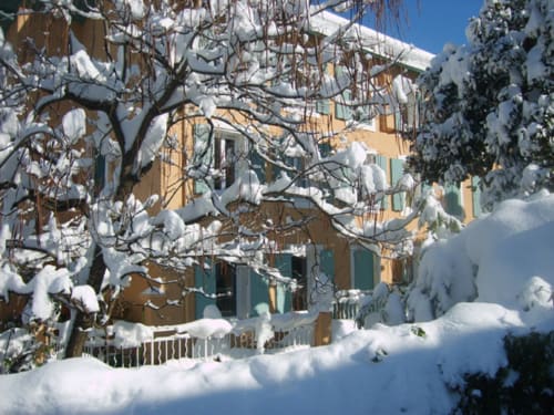 Magnolia enneigé encadrant le charmant bâtiment en pierre jaune des2lions B&B à Vernet-les-Bains, France