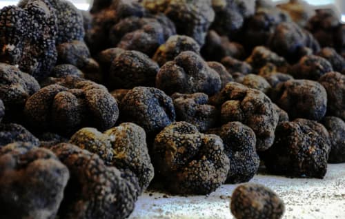 Gros plan de truffes, mettant en avant le patrimoine culinaire de Grignan près du Pavillon M
