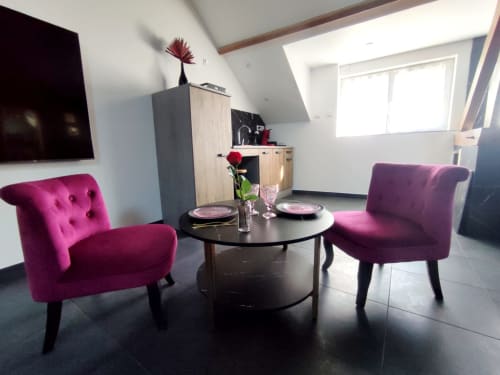 Coin séjour moderne à Lesdoucesnuits45 à Montargis avec fauteuils magenta, table ronde noire et télévision