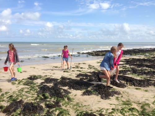 Pourville : la pêche à pieds