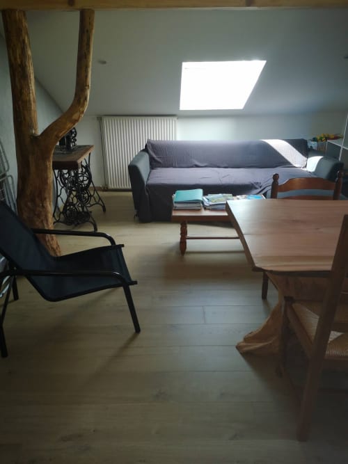 salon, livres, magasines, jeux, canapé, confort, table, chaises, repas, déco, bois, repos paisible, convivialité, apéro, apéritif, retrouvailles, 