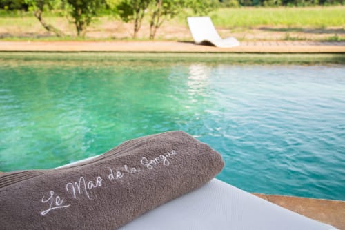 Le Mas de la Sorgue- Guest house with swimming pool