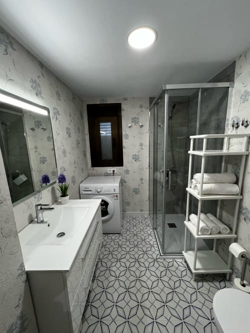 baño, lavadora, aseo, toallas ducha y manos