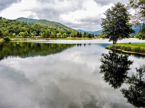 lac, base de loisirs à proximité, forêt, nature, baignade, balade, pêche, détente